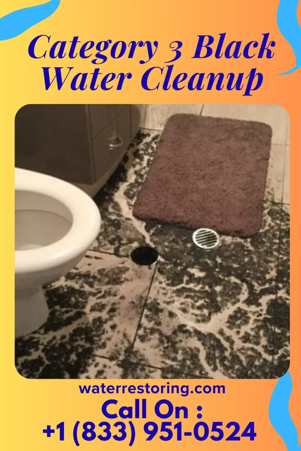 Category 3 Black Water Cleanup in Hustler, WI